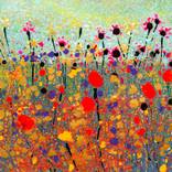 Summer Meadow - Limited Edition of 13 by Toby Moate