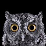 Brad Wilson: Affinity by Doinel Gallery