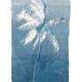 Collection Palm Tree Tapestries