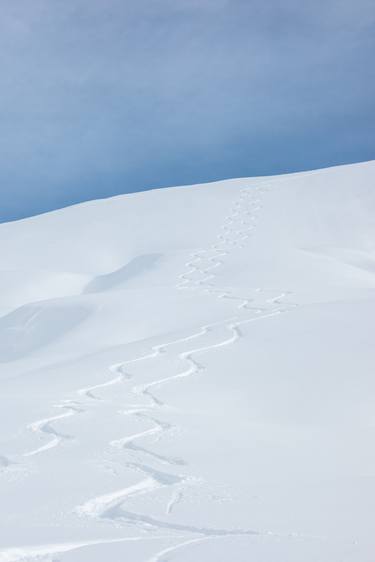 Original Fine Art Seasons Photography by Venelina Preininger