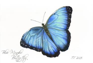 Blue Morpho Butterfly thumb