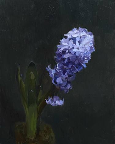 'Hyacinth' thumb