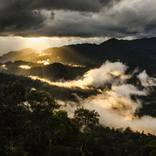 Untouched Borneo - Limited Edition 1 of 10 by Varial CH