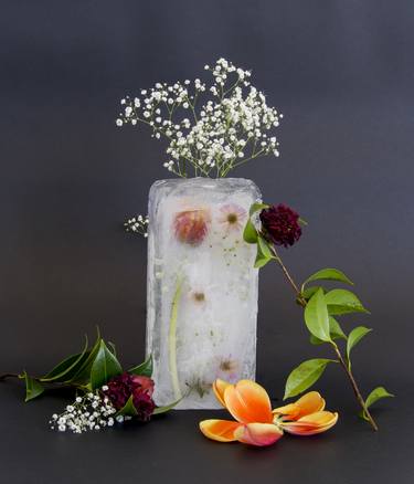 Original Fine Art Floral Photography by Daniel Stöckli