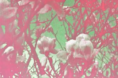 Original Pop Art Botanic Printmaking by Imogen Rolfe