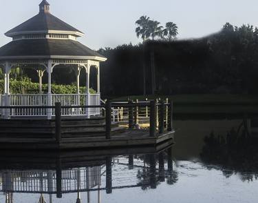 Print of Botanic Photography by Timothy OLeary