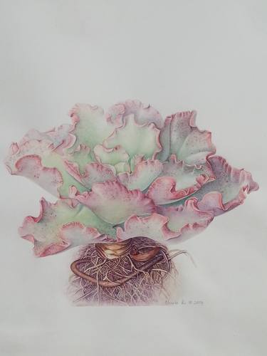 Print of Fine Art Botanic Paintings by Nicole Kretzschmar