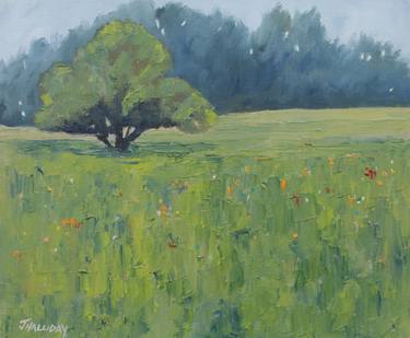 Original Impressionism Landscape Paintings by John Halliday