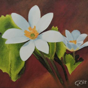 Original Floral Paintings by Perparim Qazimi