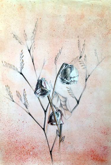 Original Minimalism Botanic Drawings by Irene S