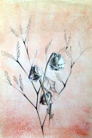 Original Botanic Drawings by Irene S