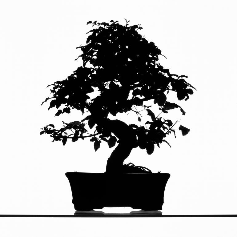 Original Black & White Abstract Photography by Filipe Condado