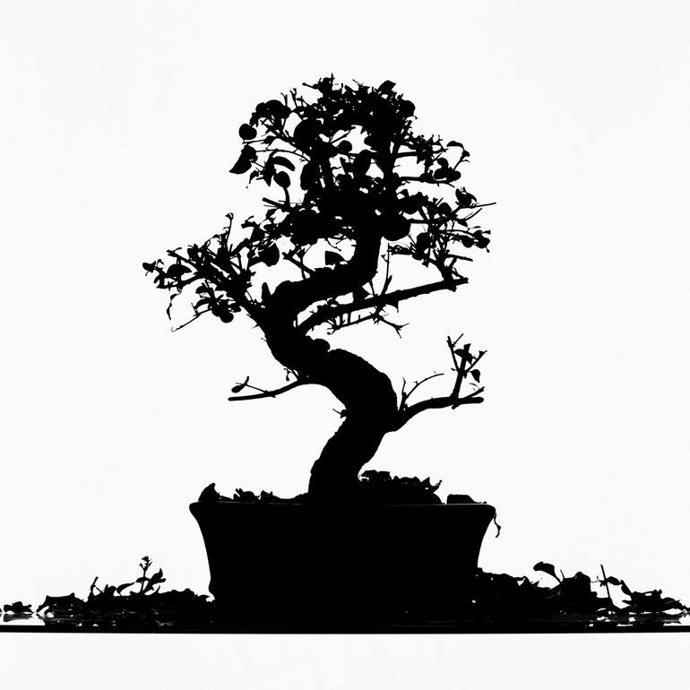 Original Black & White Abstract Photography by Filipe Condado