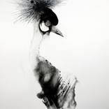 crowned crane by Inna Komarova