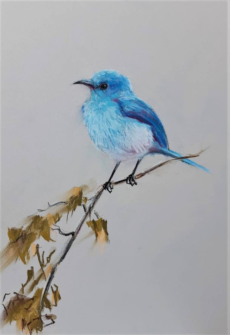 blue birds drawing