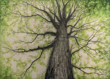 Original Realism Tree Printmaking by Li Zhou