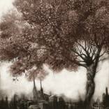 From Bellow  by Santiago Caruso