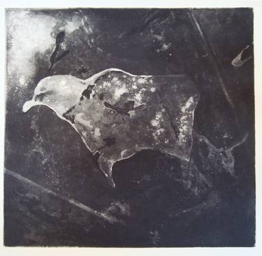 Original Abstract Animal Printmaking by Żaneta Rzepa