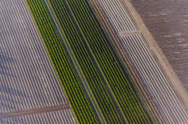 Print of Documentary Aerial Photography by Anita Thomas