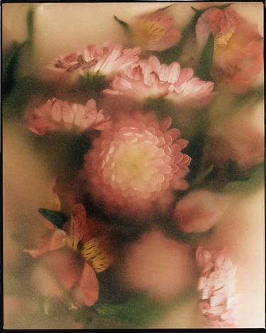 Print of Art Deco Floral Photography by Lucho Dávila