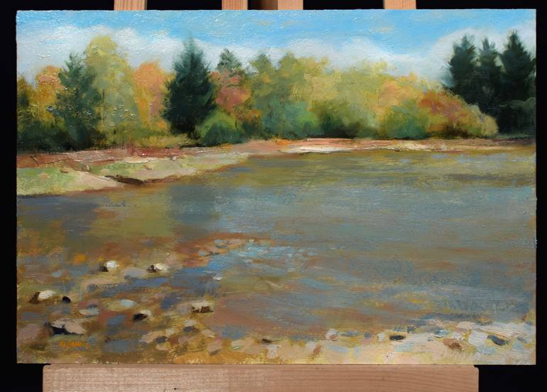Original Impressionism Nature Painting by Gavin Banns