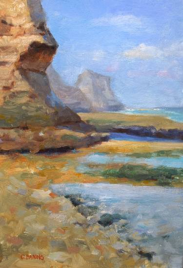 Original Impressionism Seascape Paintings by Gav Banns