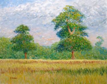 Original Impressionism Tree Paintings by Gav Banns