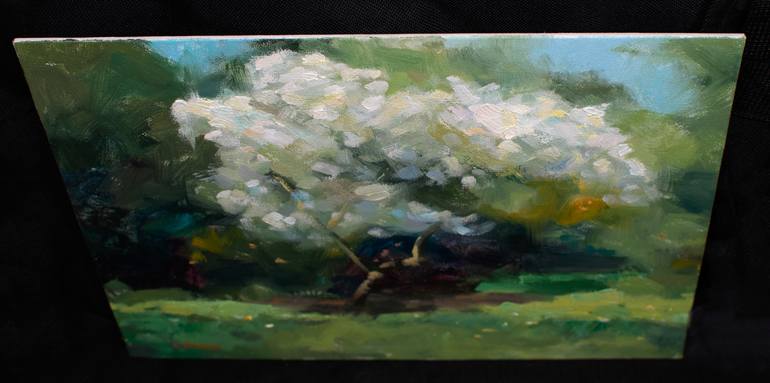 Original Impressionism Tree Painting by Gav Banns