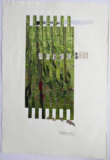 Original  Collage by ia Llamozas