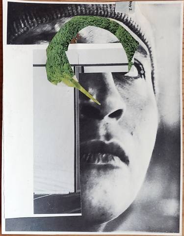 Original Dada Portrait Collage by Shelton Walsmith