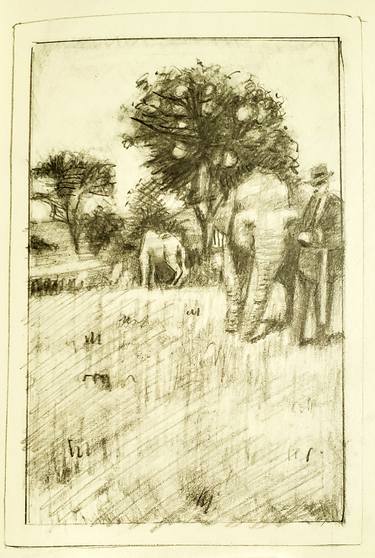 Original Figurative Animal Drawings by Shelton Walsmith