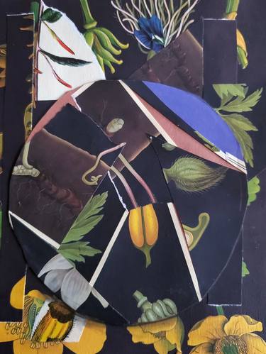 Print of Botanic Collage by Shelton Walsmith
