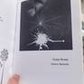 Published in magazine *82 Review volume 3.2 2014