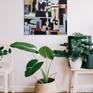 conjectured to scale in an interior