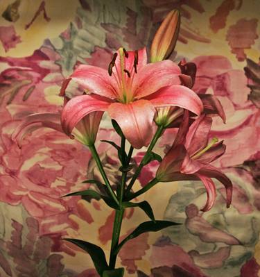 3D Lenticular "Red Lily" thumb