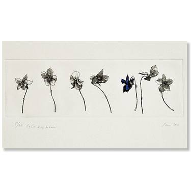 "Wild Violets" - Limited Edition 5 of 40 thumb