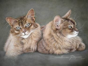 CATS    35 x 50 cm Soft Pastel on Velvet Paper thumb