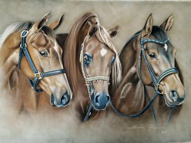 Print of Horse Drawings by Semiha Peyman