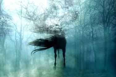Saatchi Art Artist Gisele Lubsen; Photography, “Hippolyta's Magical Horse I - Limited Edition of 11” #art