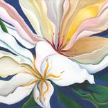 WILD FLOWERS II by Nicky Spaulding