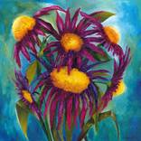 WILD FLOWERS by Nicky Spaulding