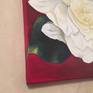 TITLE: GOLDEN GARDENIA ANGLED VIEW