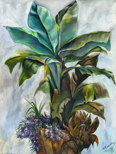 Original Floral Paintings by Nicky Spaulding