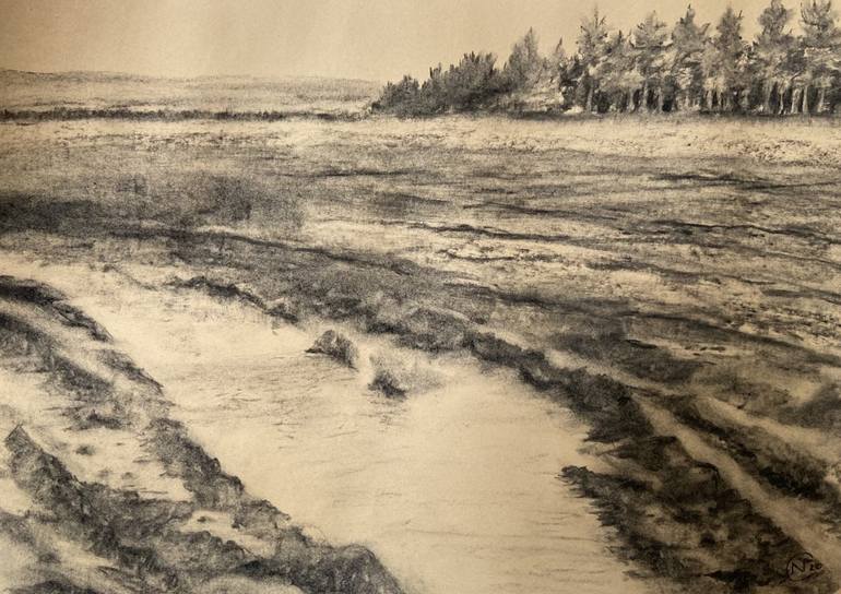 Field of Mud Charcoal Drawing by Natasha Covernton Saatchi Art