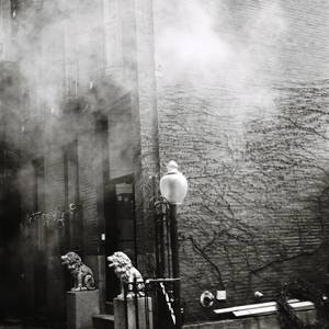 Sentinels, Boston - LIMITED EDITION
