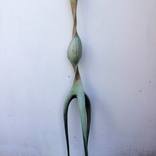Germination by Roberto Yonkov