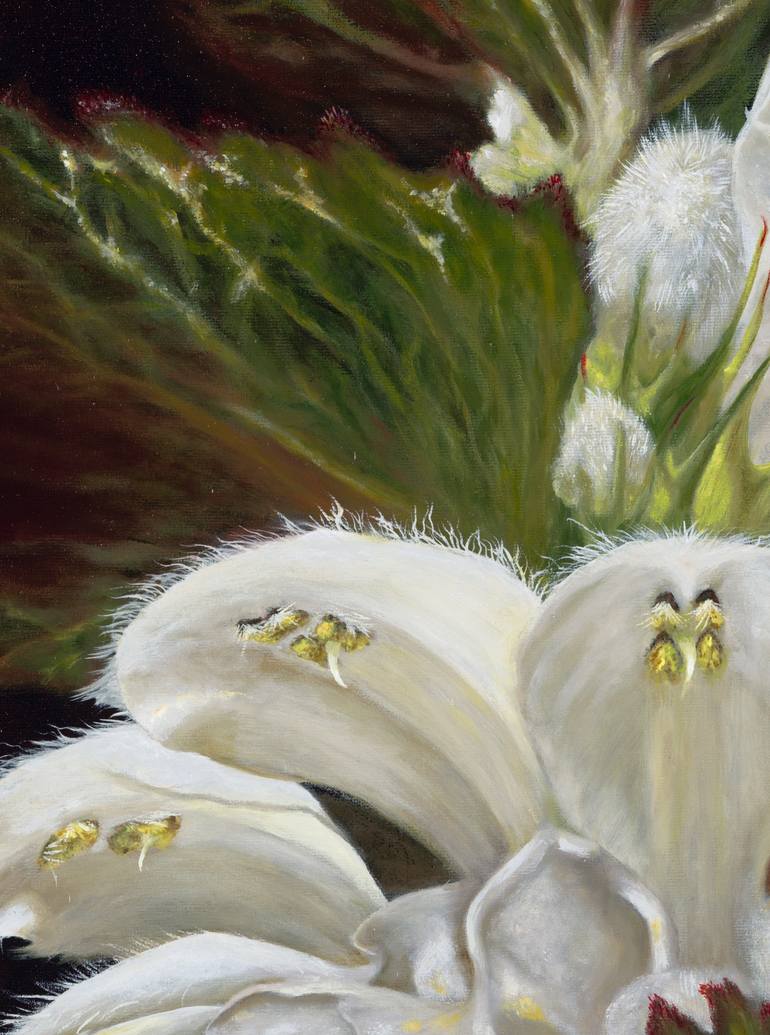 Original Other Floral Painting by Nanda Hoep