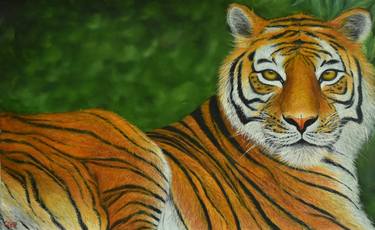 Print of Photorealism Animal Paintings by Goutami Mishra