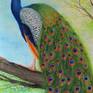 This is a handmade oil painting of a peacock sitting on tree, enjoying beautiful morning. This bird is famous for its beautiful color and feather. The painting enhances beauty and richness of your wall.