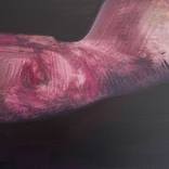 I breathe your skin by JAN ZIEGLER
